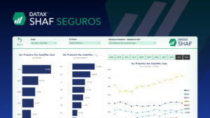 SHAF Insurance - Financial Analysis Tool for the Insurance Sector