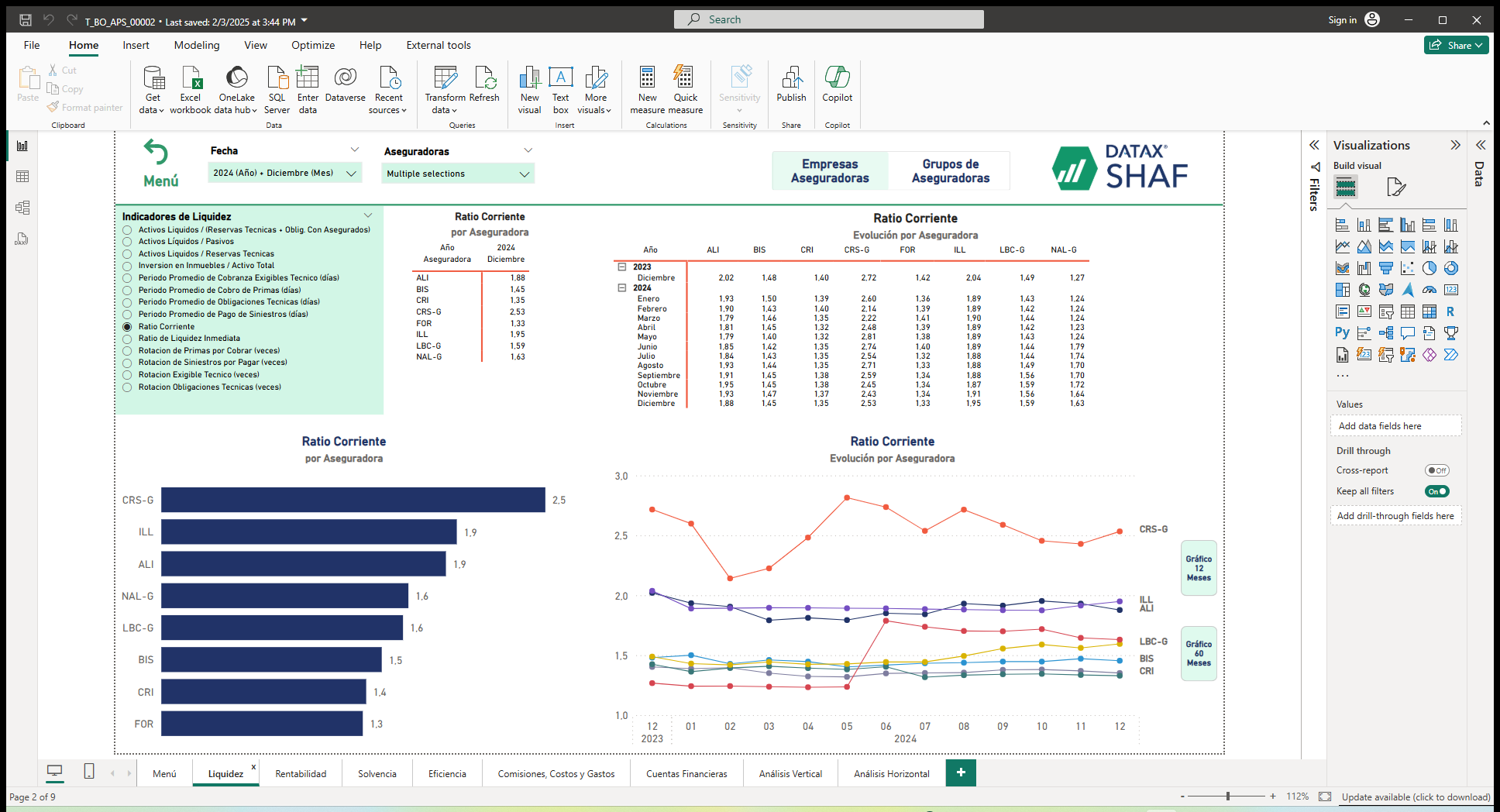 SHAF Insurance - Financial Analysis Tool for the Insurance Sector
