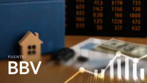 Financial Statements of Issuers - Insurance - BSE