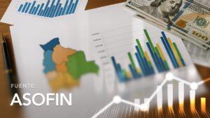 Credit Portfolio Information by Department