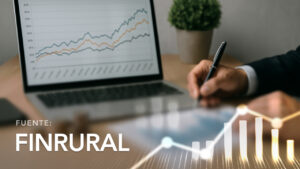 Indicadores Financieros - Finrural