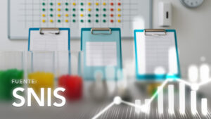 Internaciones en Establecimientos de Salud: Ingresos y Altas por Servicio