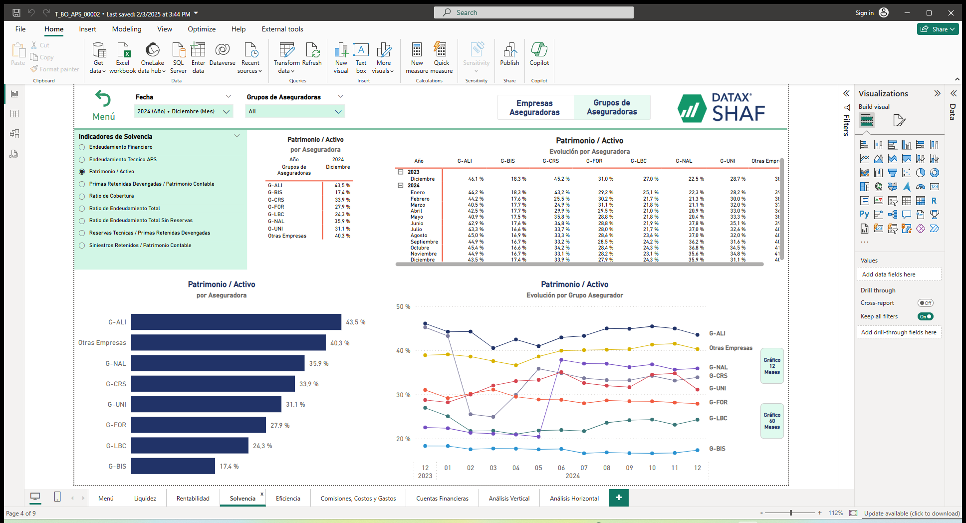 SHAF Insurance – Financial Analysis Tool for the Insurance Sector