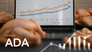 Chicken Price Evolution - Santa Cruz