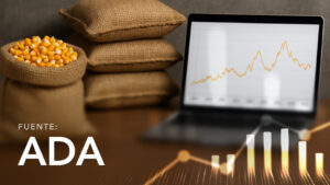 Chicken Feed Input Prices - Santa Cruz