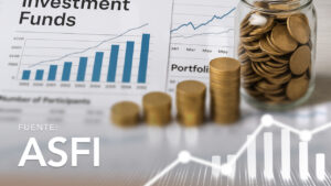 Portfolio, Growth, and Number of Participants in the Open Investment Funds Industry