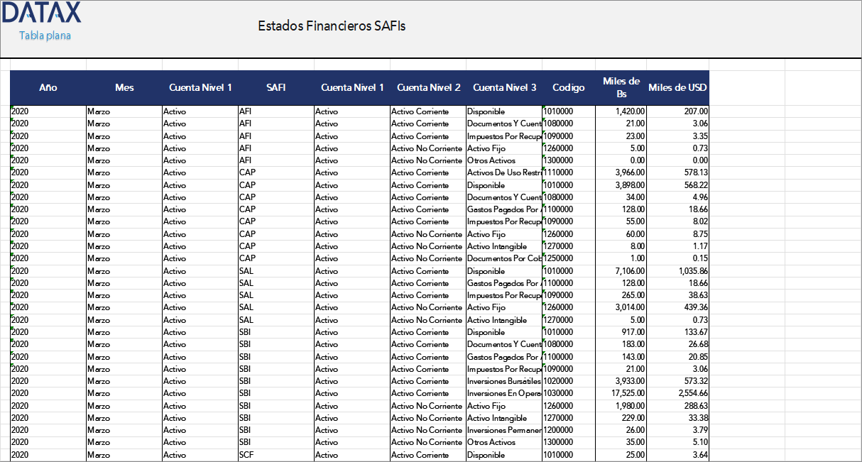 SAFIs Financial Statements