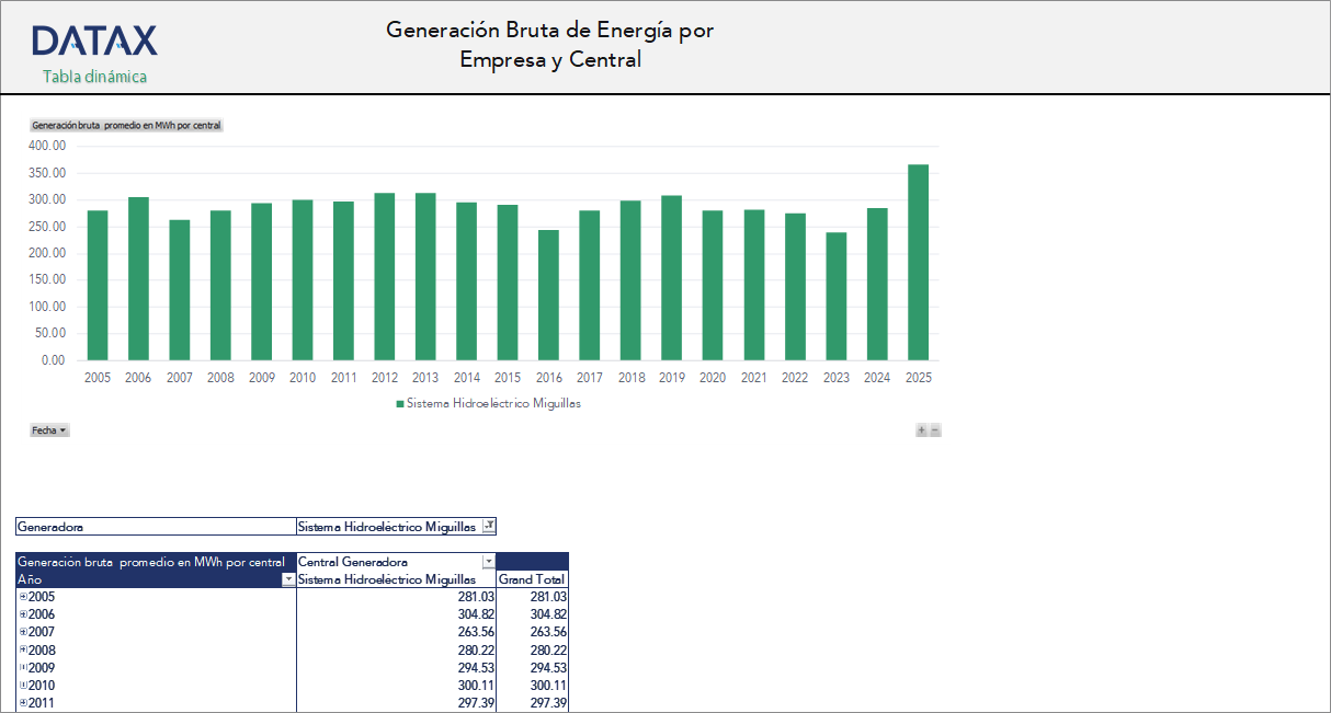 Gross Generation by Company and Plant