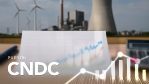 Energy Injections to the STI by Plant Type, Company, and System