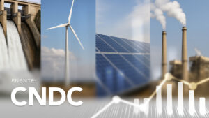 Gross Energy Generation by Plant Type and Plant