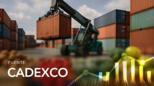 Exports of Non-Traditional Products from Cochabamba