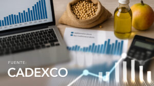 Volume and Value of Cochabamba's Exports by Sector