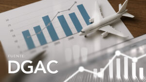 Results Obtained by National Route by Company and Type of Air Transport