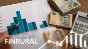 Portfolio Stratification by Credit Amount of Financial Development Institutions