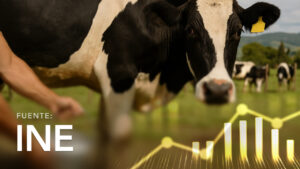 Dairy Cattle Specializing in Milk by Household Sale and Consumption