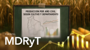 Production by Calendar Year According to Crop and Department