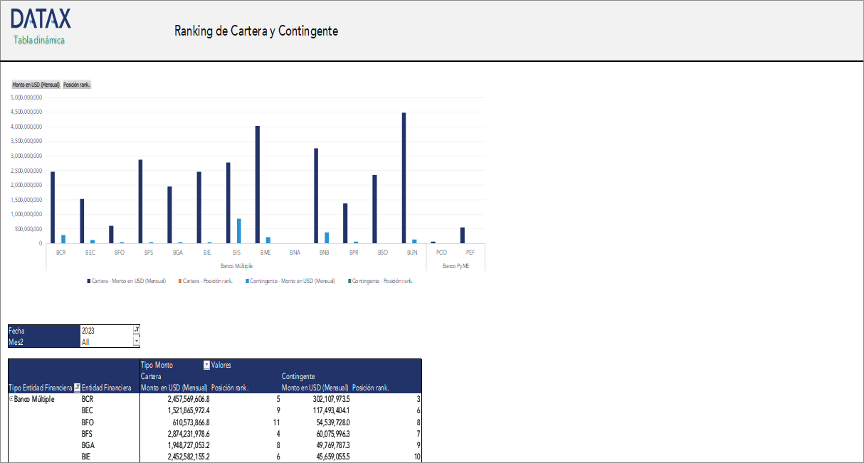 Portfolio and Contingent Ranking