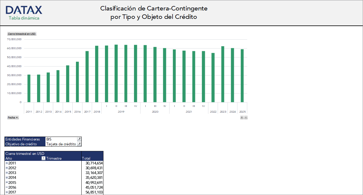Contingent Portfolio Classification by Credit Type and Purpose