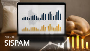 Wholesale Prices of Sugar and Chicken Meat by Department and Company